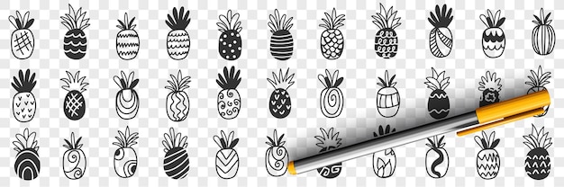 Tropical pineapple fruits doodle set illustration