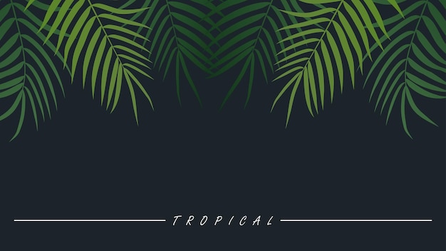 Tropical plant background with palm leaves