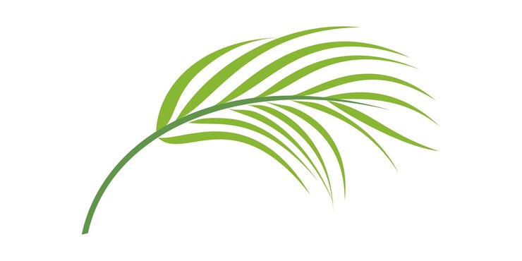 Vector tropical plant and foliage stock illustration green leaves illustration of graphical element flat