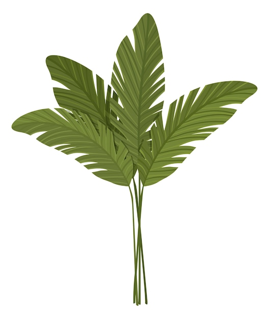 Icona di piante tropicali