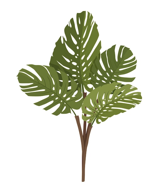 Tropical plant icon