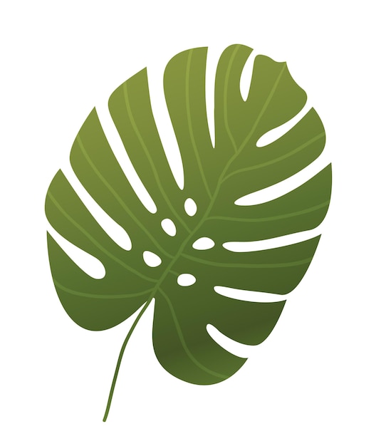 Tropical plant icon