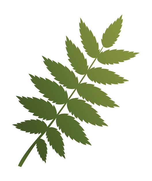 Vector tropical plant icon