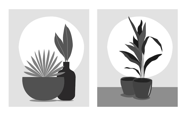 Vector tropical plant for interior dacor of home vector illustration isolated in color and blank and white