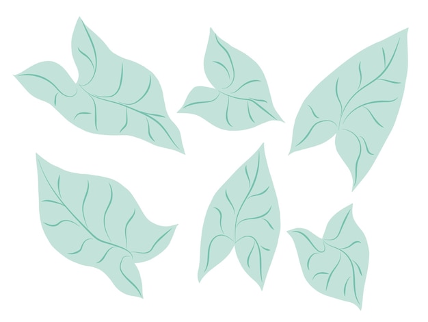 Tropical plant leaf set