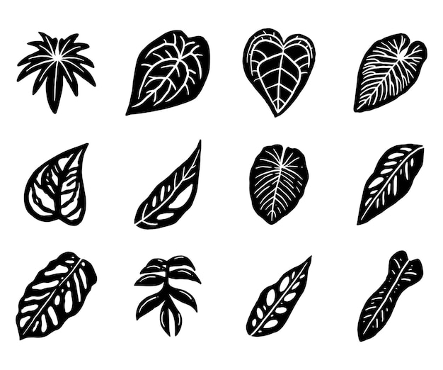 Premium Vector | Tropical plant leaf silhouette icon