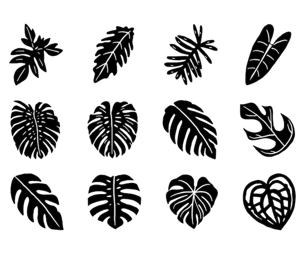 Vector tropical plant leaf silhouette icon