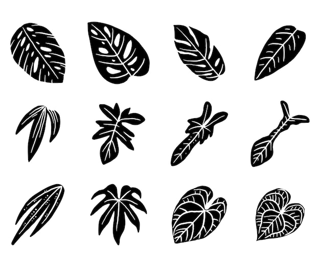 Vector tropical plant leaf silhouette icon