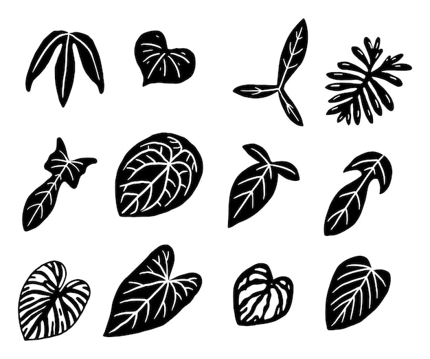 Vector tropical plant leaf silhouette icon