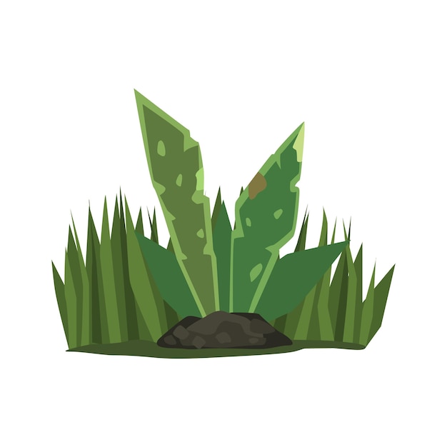 Vector tropical plant with big leaves jungle landscape element