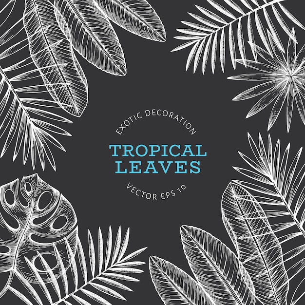 Banner design di piante tropicali.