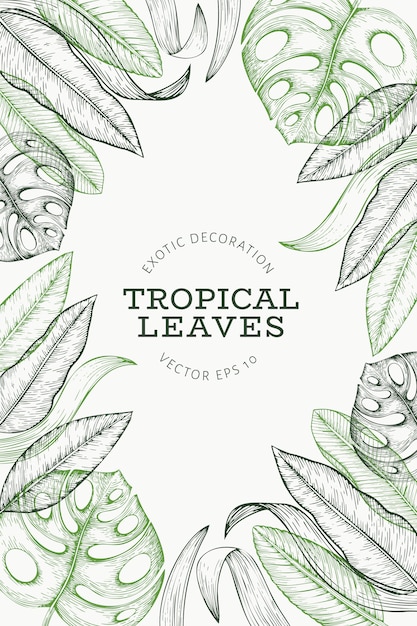 Tropical plants banner. 