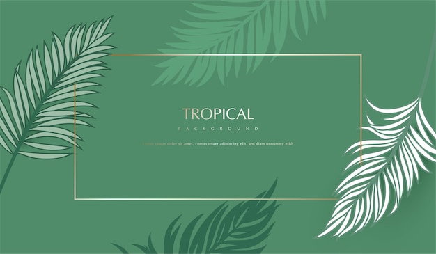 Tropical plants leaves  background
