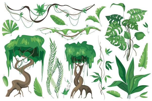 Tropical plants and lianes set graphic elements in flat design Bundle of different type exotic trees and leaves wild flora and other green jungle foliage Vector illustration isolated objects