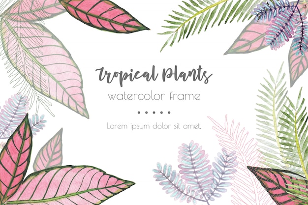 Tropical plants watercolor frame background