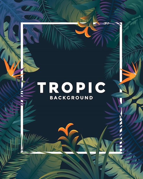 Poster tropicale con cornice