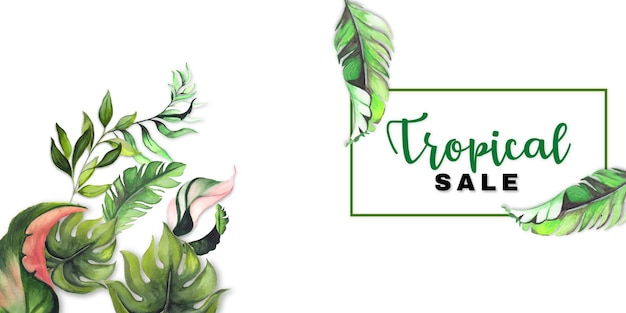 Tropical Sale Green White Pink Background Professional Banner Multipurpose Design Free Vector