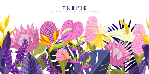 Arte vettoriale disegnata a mano con bordo senza cuciture tropicale