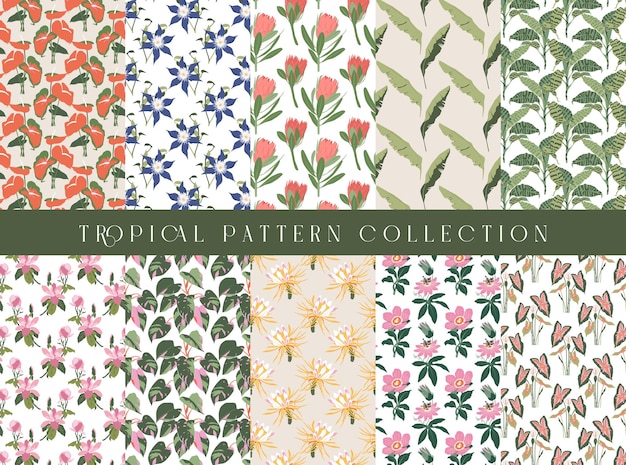 Tropical seamless pattern collection, decorative wallpaper.