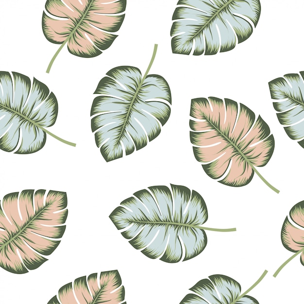 Tropical  seamless pattern white background. Exotic jungle wallpaper. Floral pink and blue monstera  leaves.