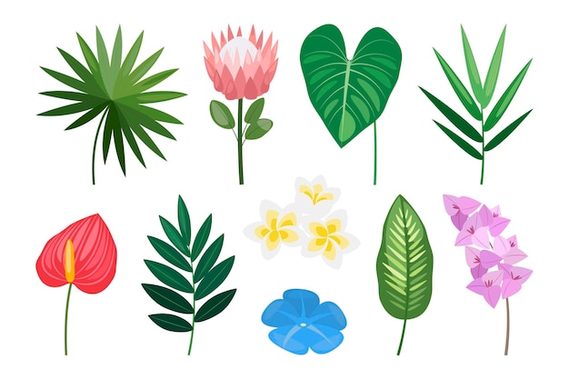 Vector tropical set of hand drawn flowers and leaves