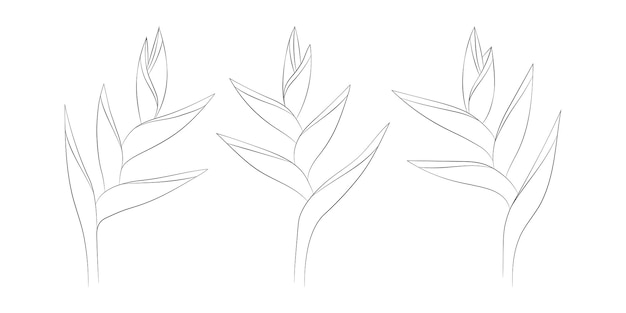 手描きのヘリコニアの花のトロピカルセット