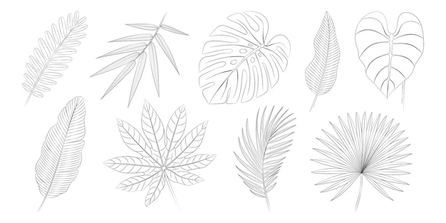 Tropical set of hand drawn leaves