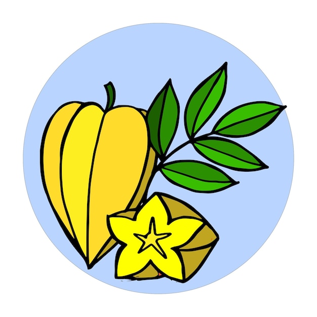 tropical Star fruit hand drawing illustration vector