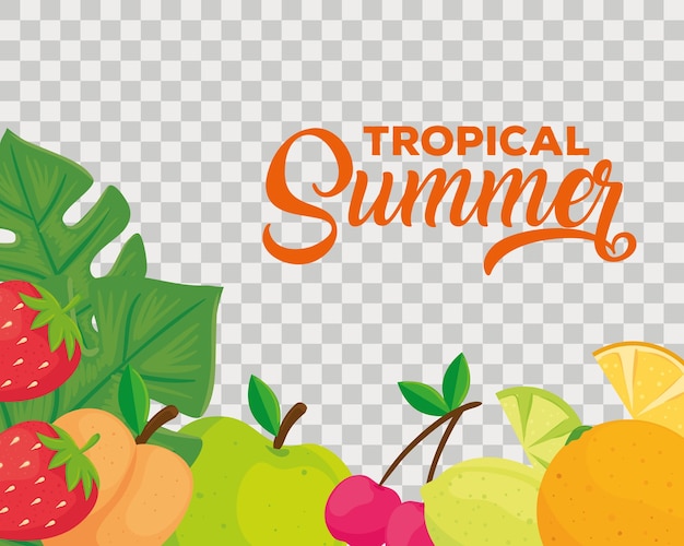 Tropical summer banner, and fresh fruits