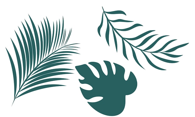 Vector tropical summer banners