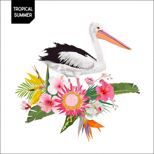 Tropical summer design with pelican bird