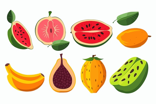 Tropical summer fruits set Isolated on white background Vector cartoon illustration