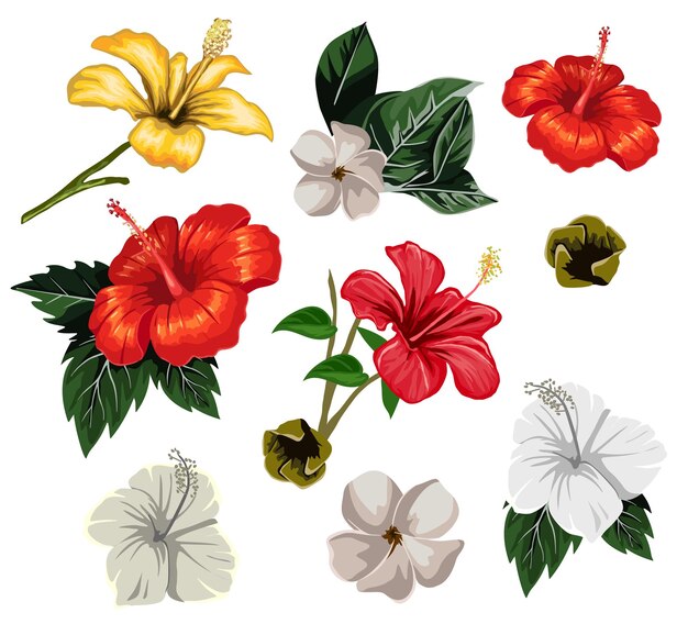 Vector tropical summer leaf and flowers illustration