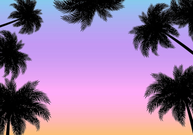 Tropical summer sunset with black palm tree silhouette Sky in the background in yellow purple pink and blue colors