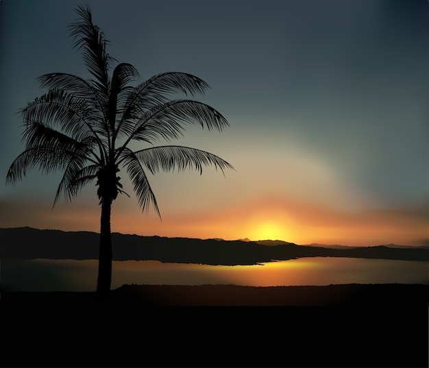 Tropical Sunset Background