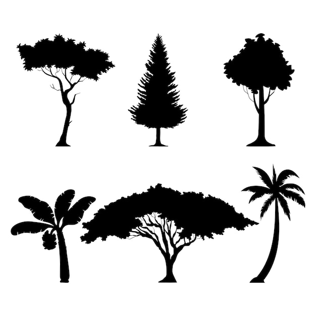 tropical tree silhouette illustration