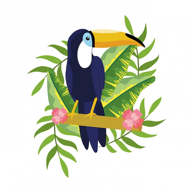 Tropical tucano cartoon