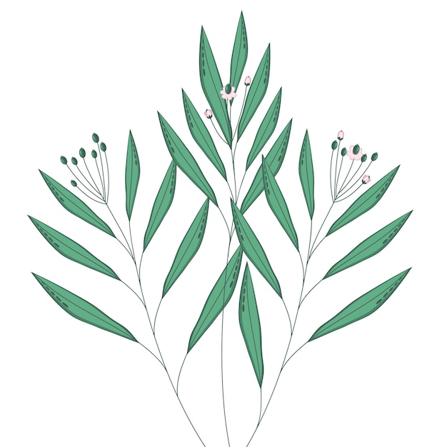 장식용 이국적인 식물을 위한 흰색 벡터 잎에 좁은 잎과 꽃이 있는 열대 나뭇가지