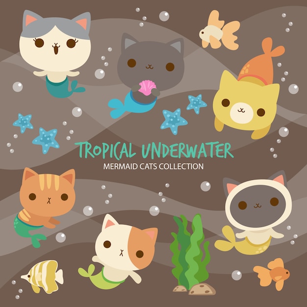 Tropical underwater mermaid cats