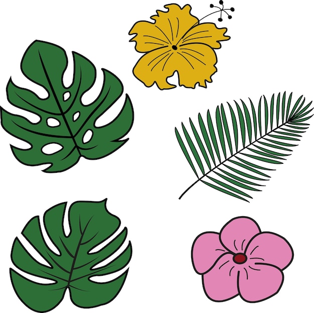 Vector tropical vector flowers and leaves. exotic plants.