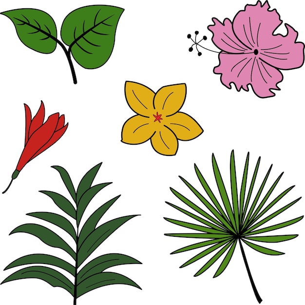 Tropical vector flowers and leaves. exotic plants.