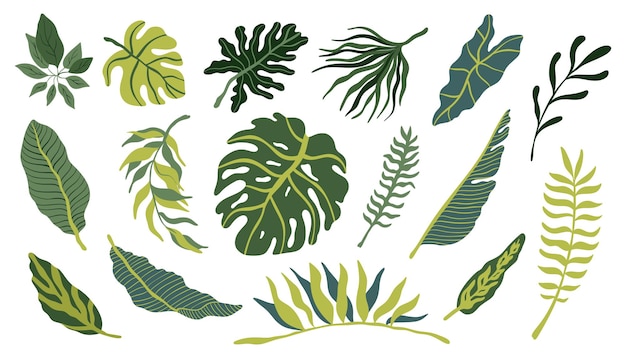 ベクトル モンステラの葉の白い背景の上のトレンディな色で熱帯ベクトル手描き葉コレクション