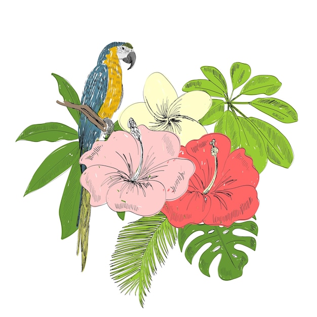 Vector tropical vector illustration with parrot and flowers