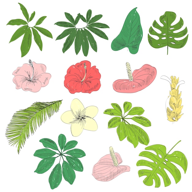 Premium Vector | Tropical vector set