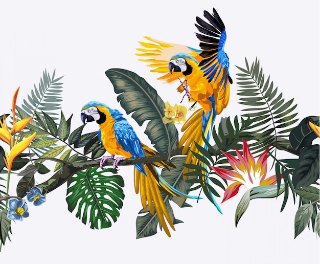 Вектор Тропические дикие и попугаи ара