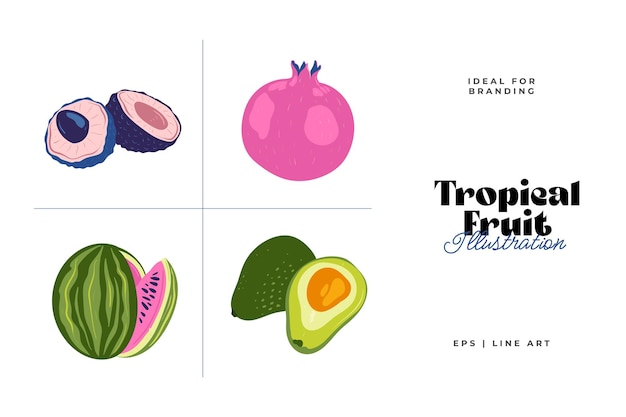 Tropisch fruit en grafische ontwerpelementen collectie Ingrediënten kleur cliparts