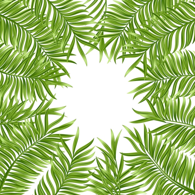 Tropisch palmblad dat op witte achtergrond wordt geïsoleerd Realistische groene zomerplant Vectorillustratie