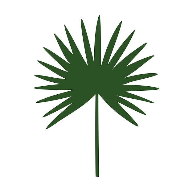 Tropisch vector silhouet van palmblad illustratie op geïsoleerde achtergrond Mooie botanische