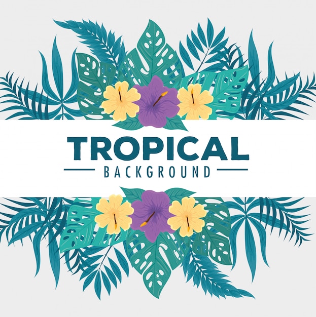 Tropische achtergrond, bloemen gele en paarse kleuren, takken en tropische bladeren, decoratie met bloemen en tropische bladeren