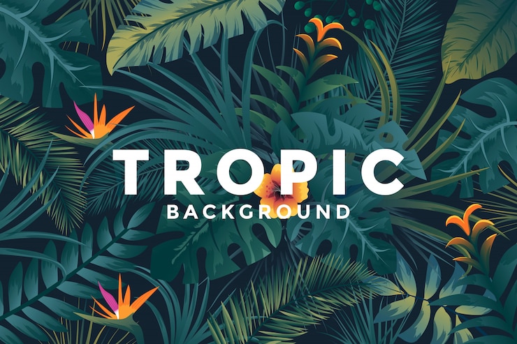 Vector tropische achtergrond